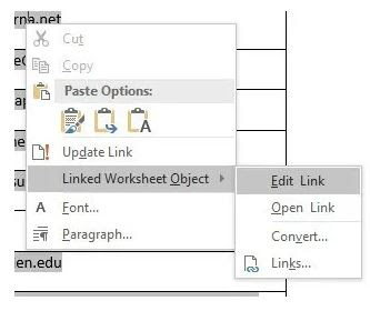 Cara Masukkan Lembaran Kerja Excel ke dalam Word Doc