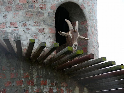 The Goat Tower Seen On www.coolpicturegallery.us