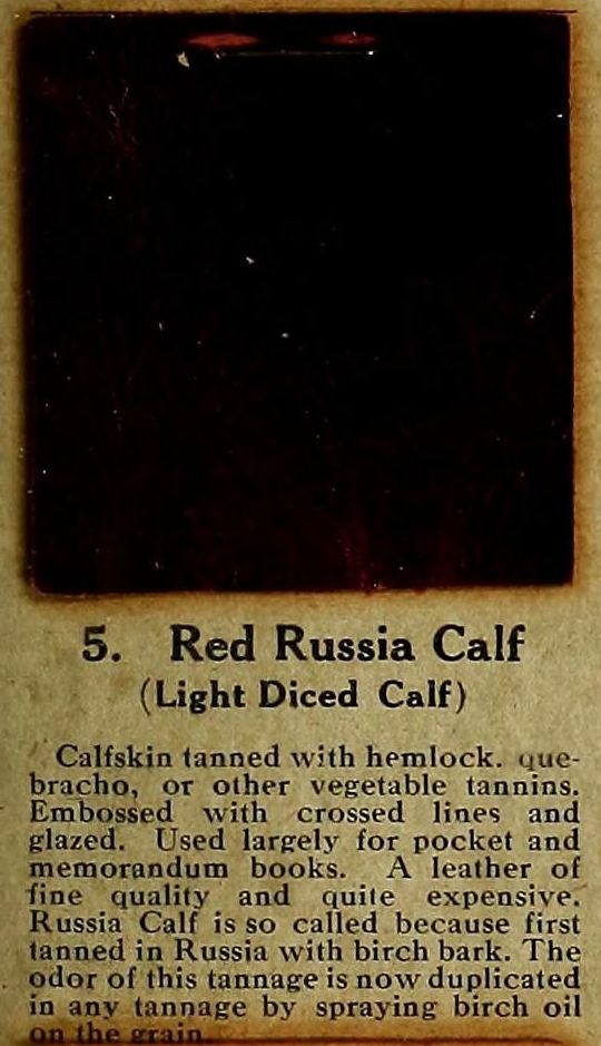 red russia calf