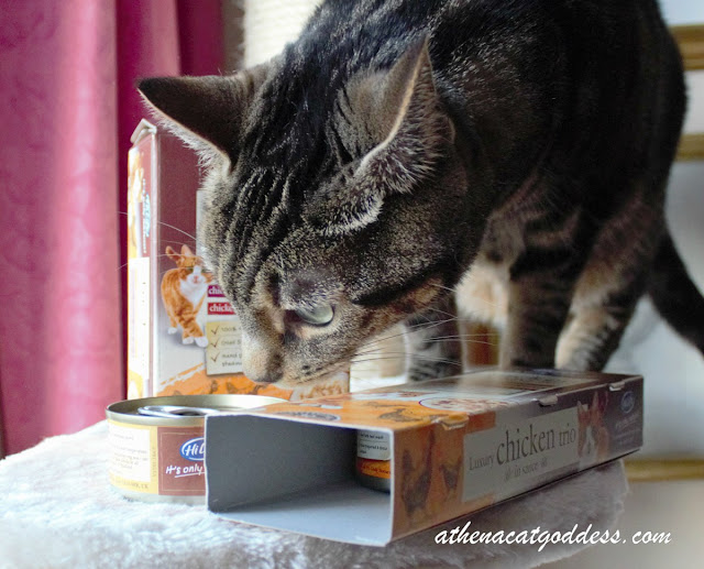 HiLife Cat Food Review and Giveaway