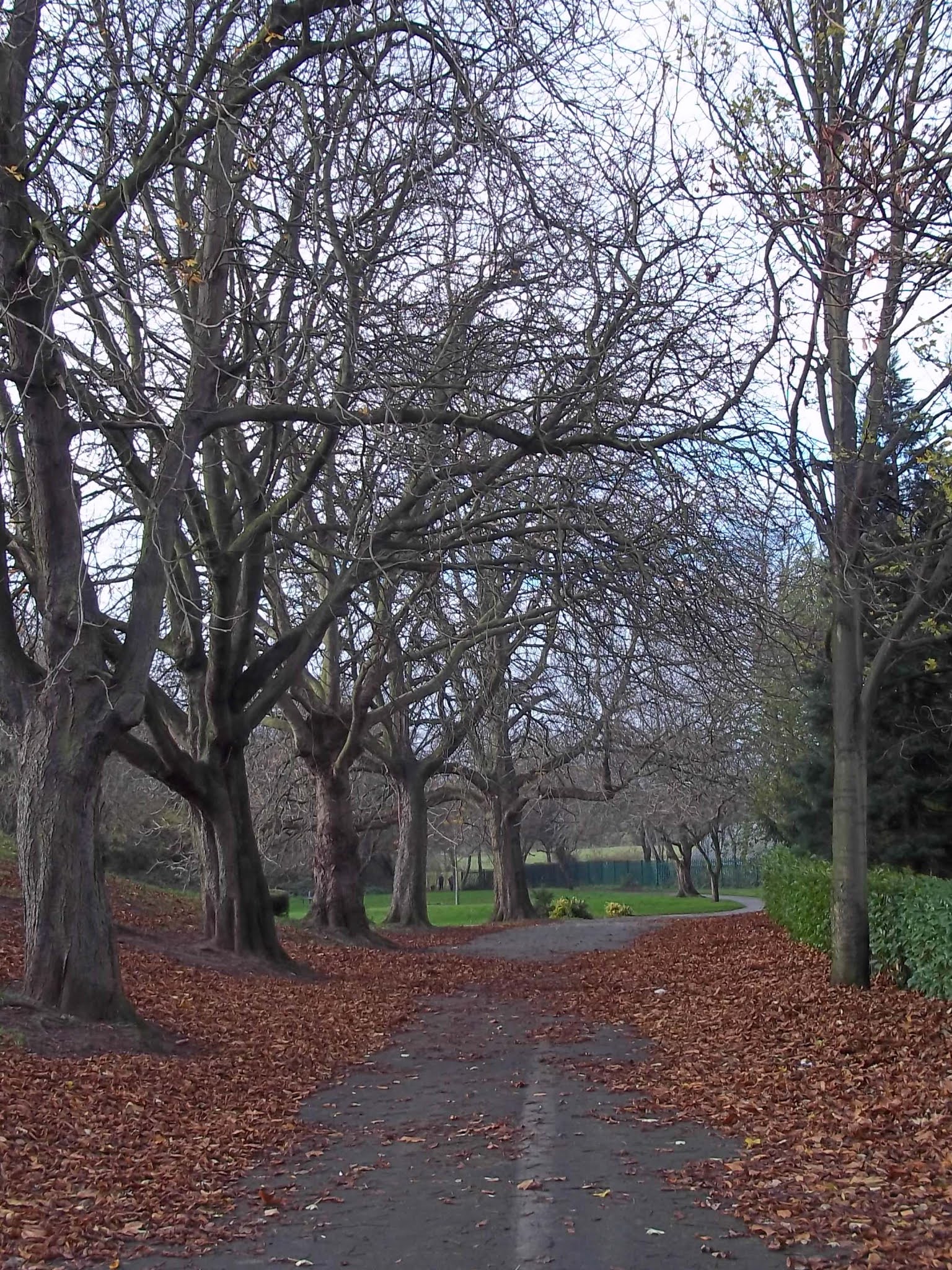 Walking The Peak Hexthorpe, Warmsworth, Balby, Sprotbrough, and Newton