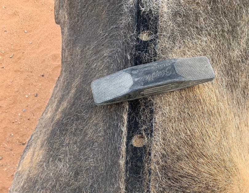 Functional Horsemanship Cleaning Felt Saddle Pads Look at the Strip