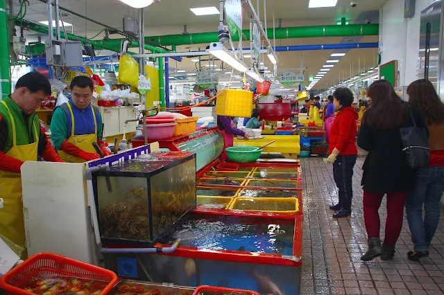 韓國釜山札嘎其魚市