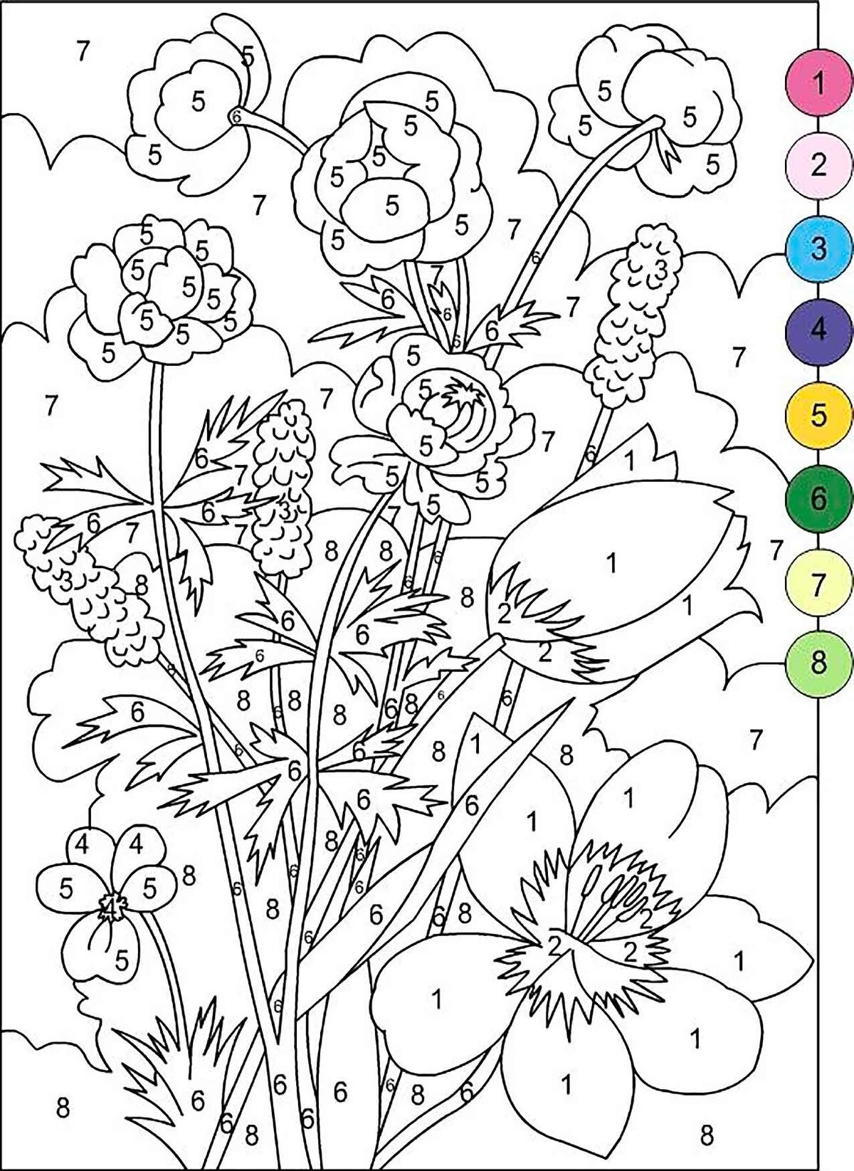 Полевые цветы раскраска для детей