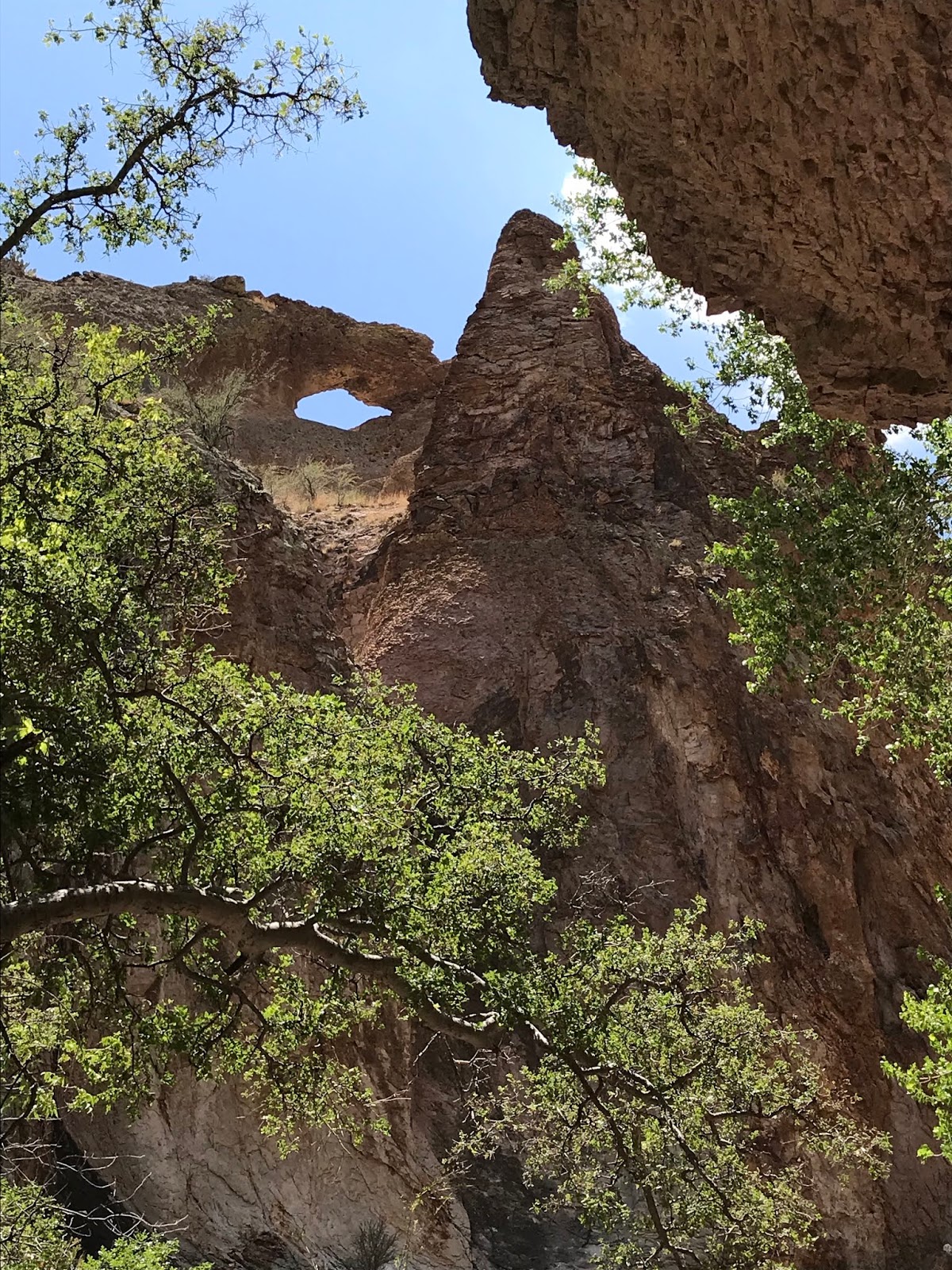 Southern New Mexico Explorer Mineral Creek, Cooney Canyon Gila