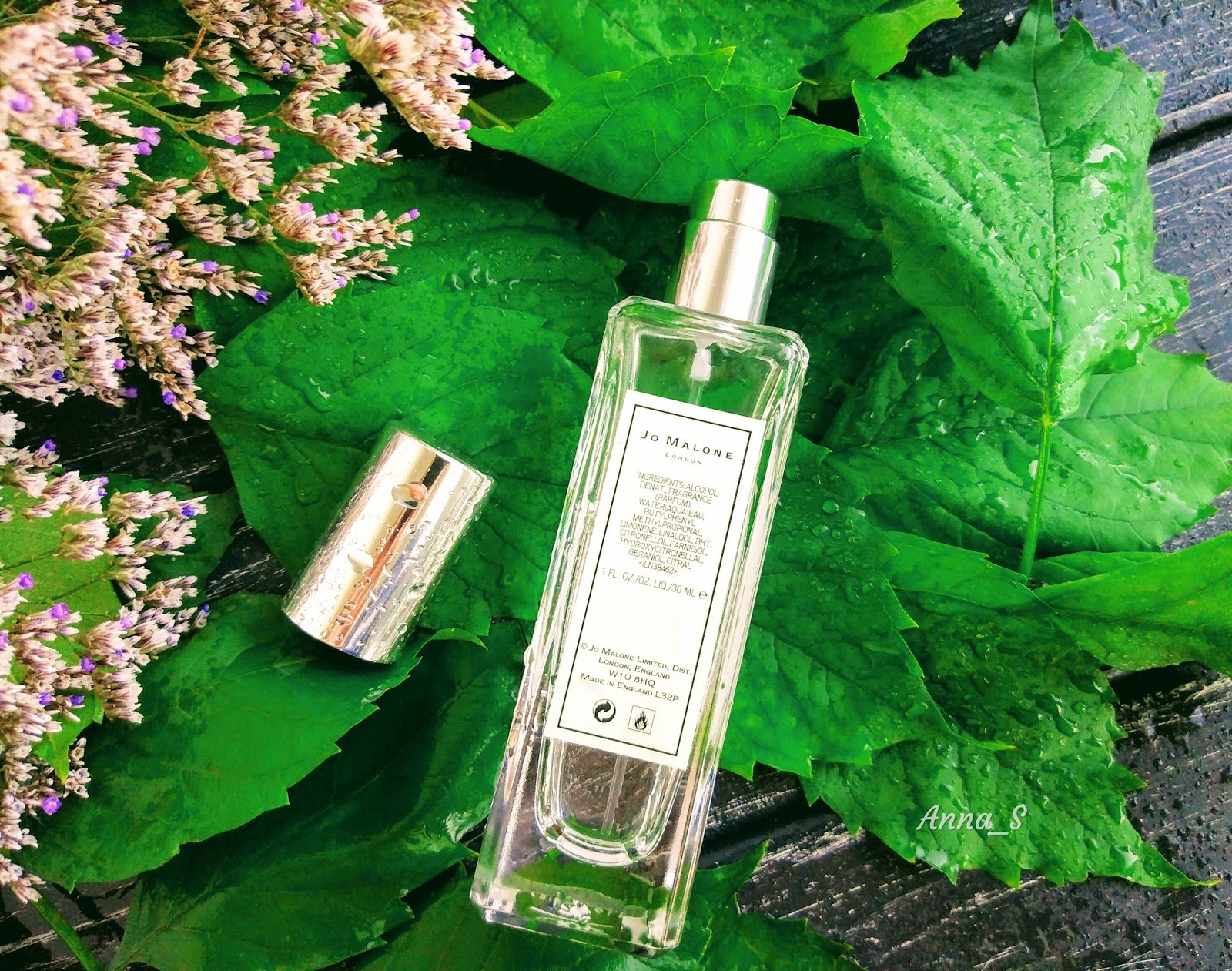 одеколон jo malone english pear freesia 100 мл. Jo malone blackberry & bay 65 тестер. Jo malone assam grapefruit. одеколон джо малон. Jo malone lime basil mandarin 100 ml.