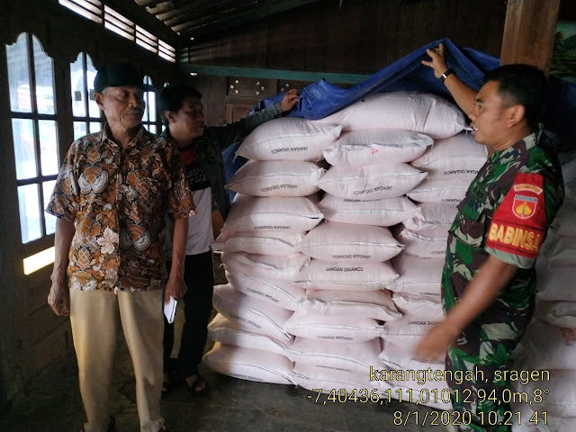 Penuhi Kebutuhan Petani, Babinsa Karangtengah Cek Ketersediaan Pupuk Penuhi Kebutuhan Petani, Babinsa Karangtengah Cek Ketersediaan Pupuk