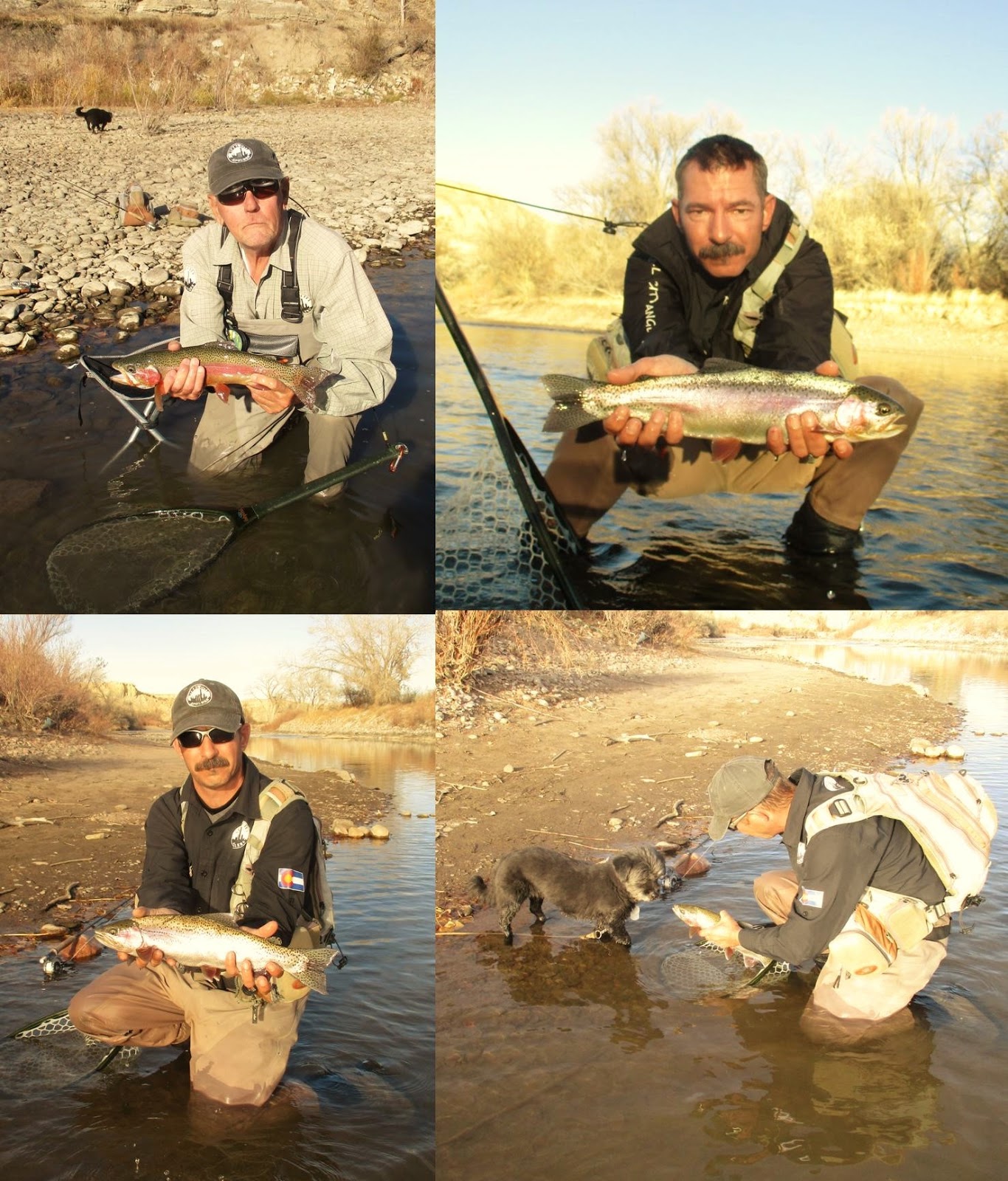 Arkansas River Tailwater Fly Fishing Report