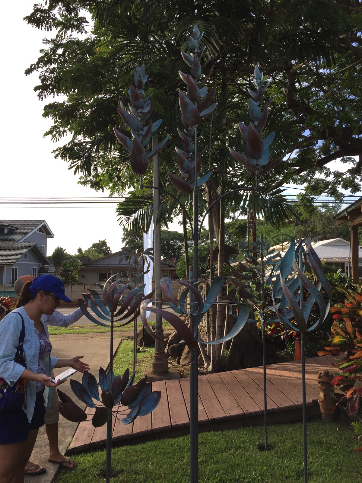 The Succulents and Pottery Compulsion Visit to Kunia Nursery and a