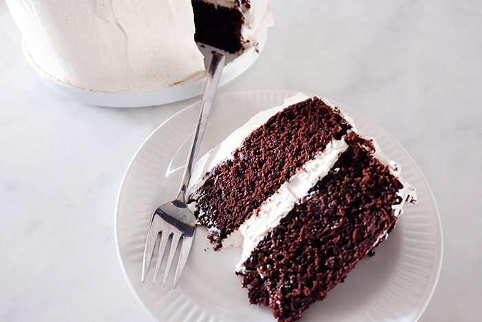 slice of Mexican Chocolate Cake with Mascarpone Whipped Cream Frosting