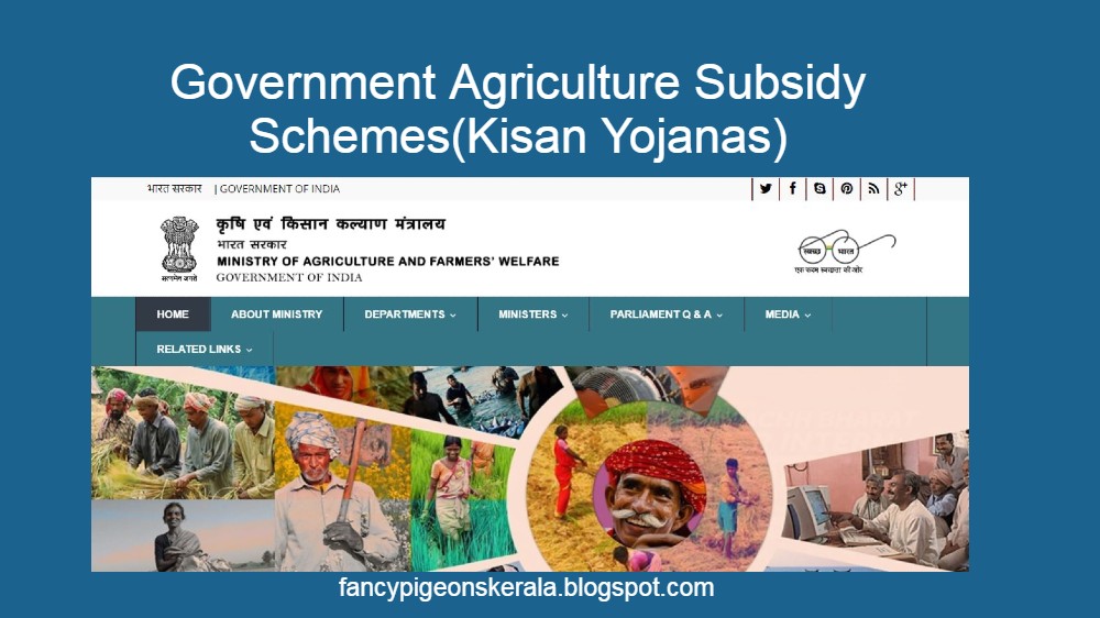 Create And Develop Successful Businesses Through Farm Ideas List Of Government Agriculture Subsidy Schemes Kisan Yojanas For Farmers