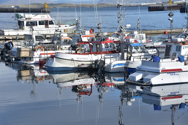 Islandia Reykiavik 17
