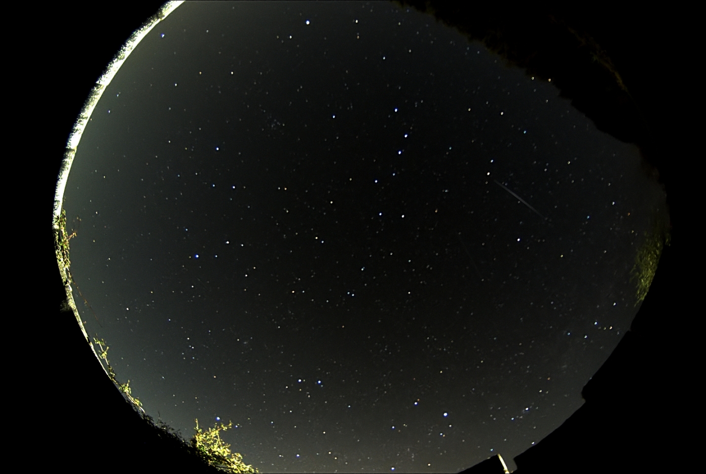 xbitastroimaging Preparing for meteor showers with an allsky