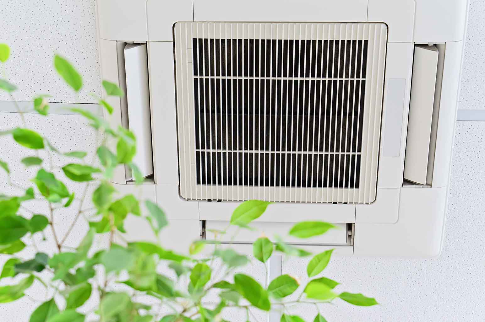 Purifier vs. Filter: Which Can Improve Indoor Air Quality Purifier vs. Filter: Which Can Improve Indoor Air Quality