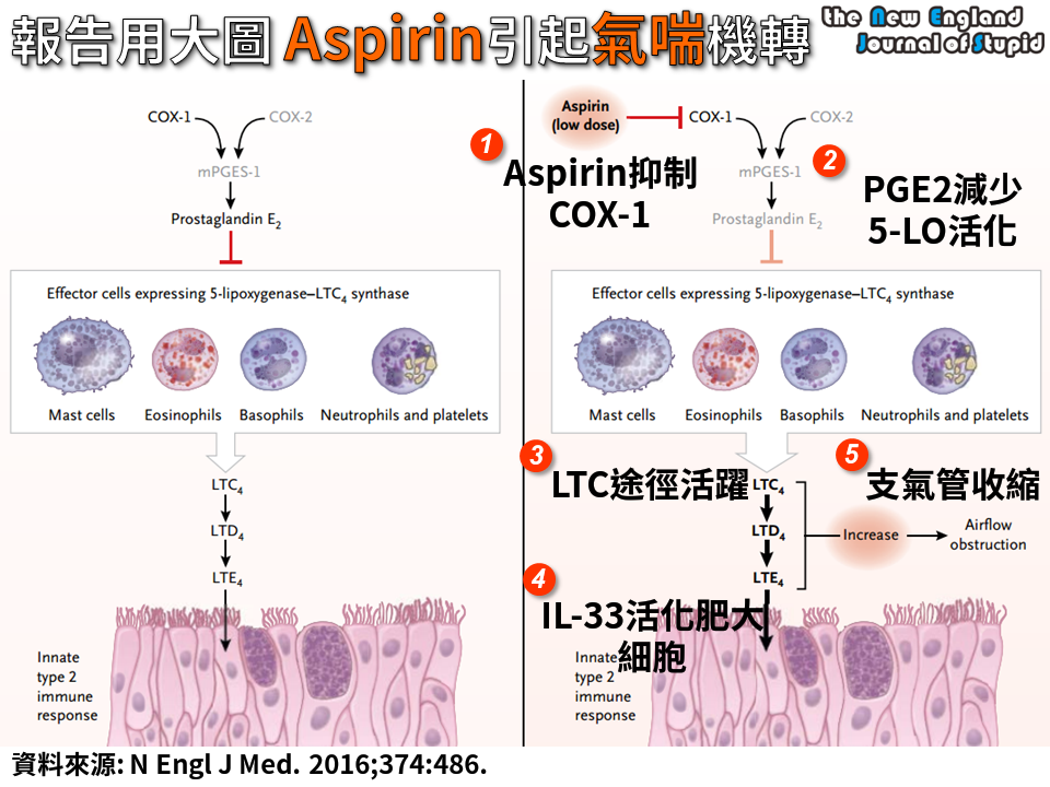 [臨床藥學] 報告用大圖 Aspirin引起氣喘機轉 (Mechanism of AspirinExacerbated