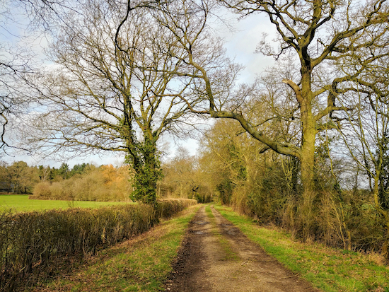 Stanstead Abbots footpath 16 approaching Easneye Wood - mentioned in point 9 above Image by Hertfordshire Walker released via Creative Commons BY-NC-SA 4.0 Stanstead Abbots footpath 16 approaching Easneye Wood - mentioned in point 9 above Image by Hertfordshire Walker released via Creative Commons BY-NC-SA 4.0