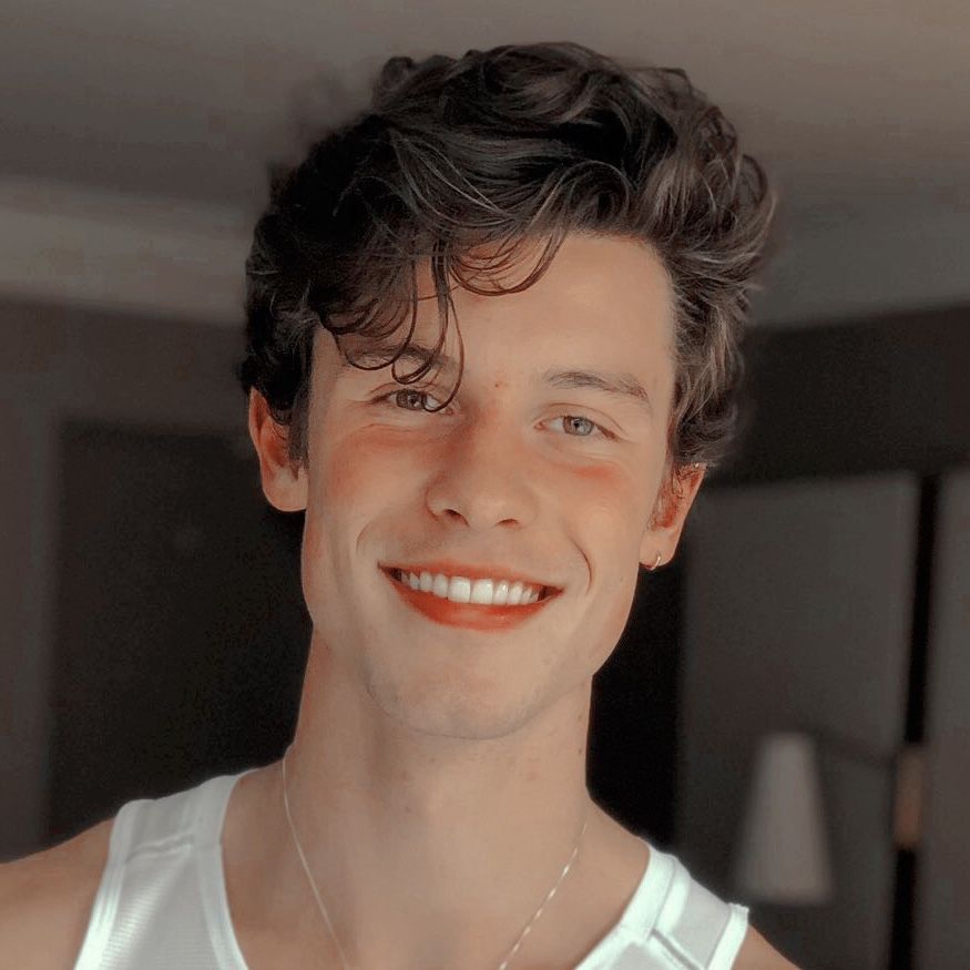 ¿Quién es Shawn Mendes?
