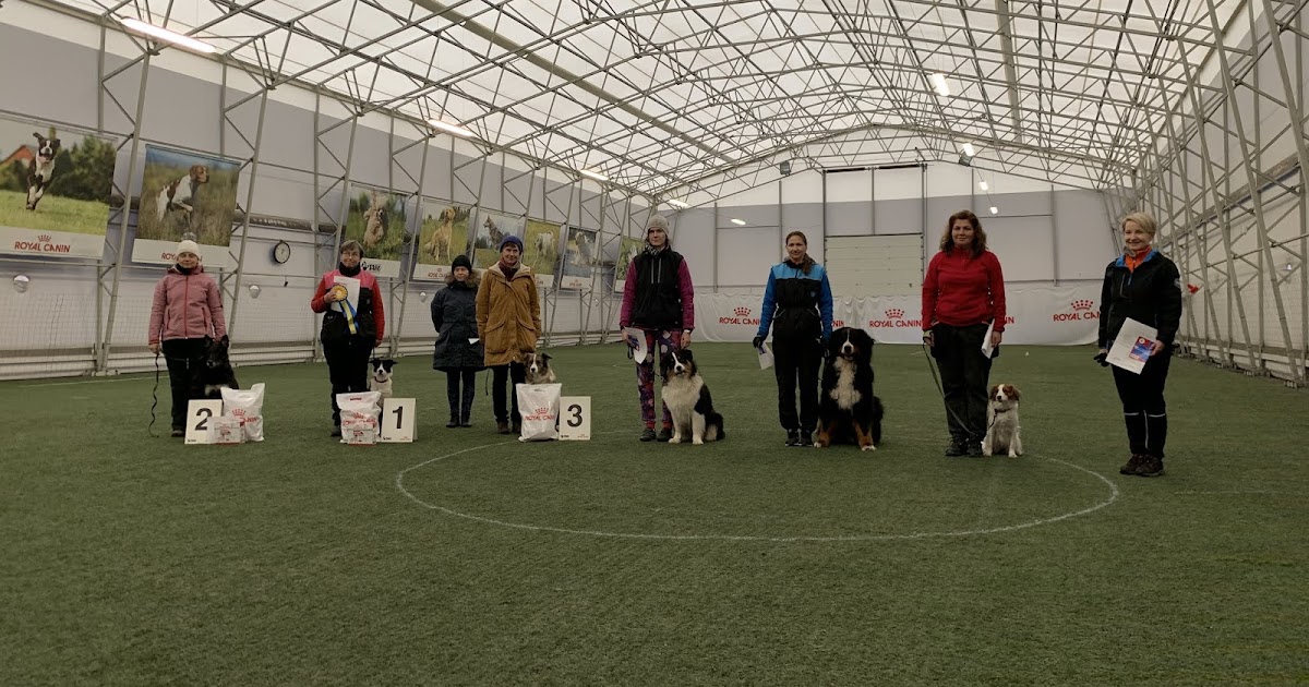 Tarkade Koerte Klubi blogi TAKO SK Karikas 2019 VI osavõistluse tulemused