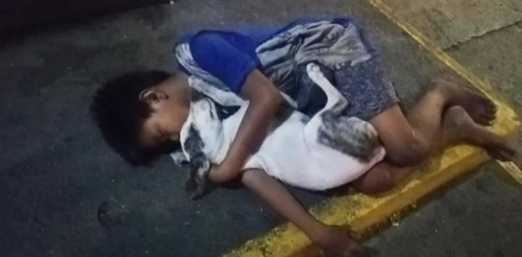 CONMOVEDOR: Un niño duerme en la calle abrazando a su perro ante la indiferencia de todos - Seamos Mas Animales Como Ellos - SMACE
