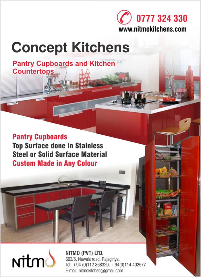 Pantry Cupboards  Top Surface done in Stainless  Steel or Solid Surface Material  Custom Made in Any Colour