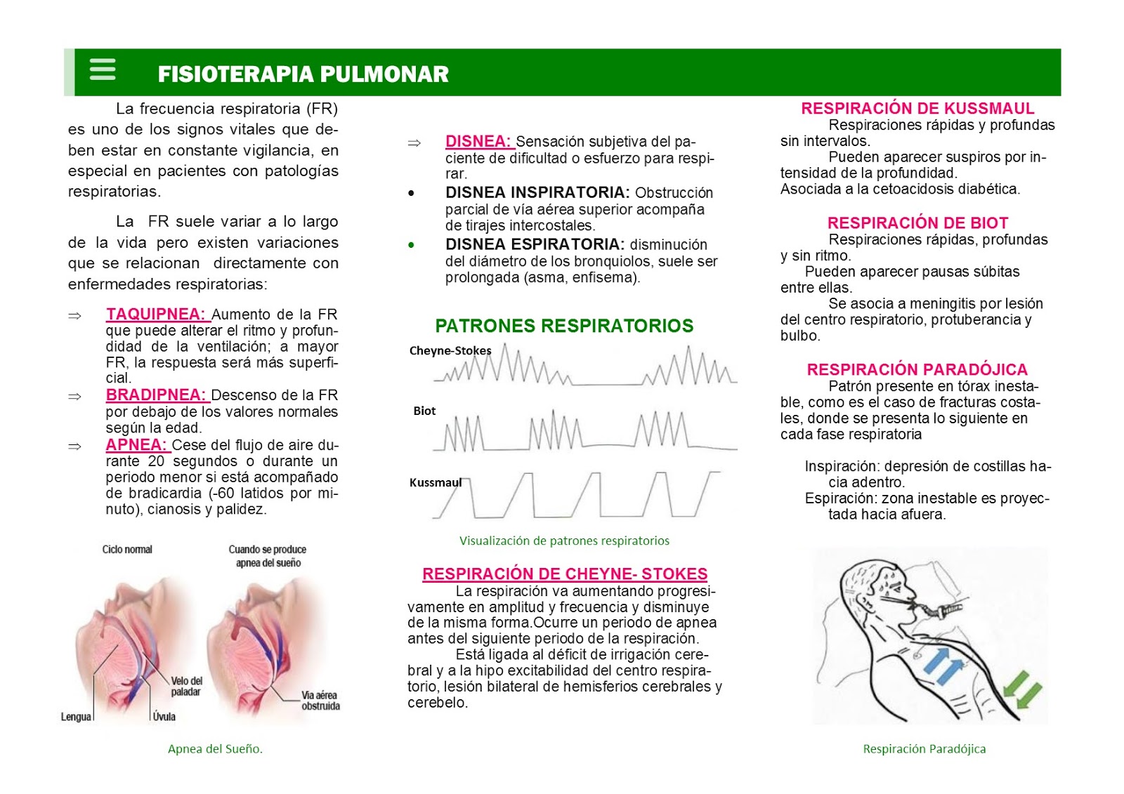 Fisioterapia Respiratoria Valoración Semiológica del Sistema