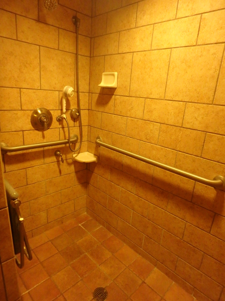 Wheelchair Travel Adventures Walt Disney World Animal Wheelchair Travel Adventures Walt Disney World Animal