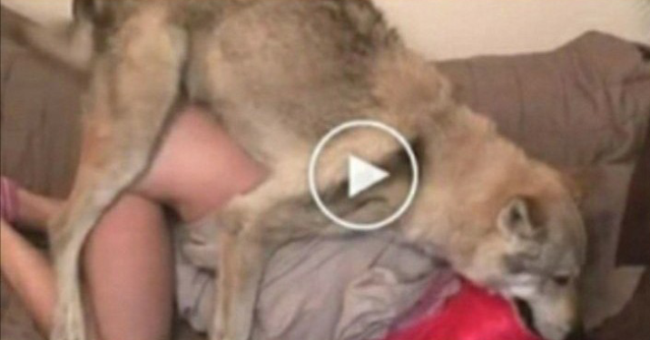 Watch video:watch dog and girl doing hot pant down