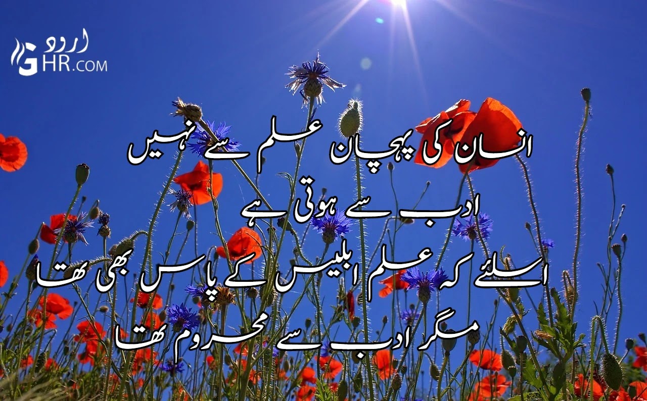 Featured image of post Dusro Ki Khushi Quotes In Urdu - See more ideas about urdu quotes, urdu, poetry quotes.