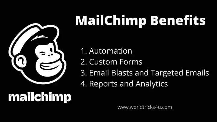 Free Email Marketing Mailchimp Tools Benifits In Hindi Free Email Marketing Mailchimp Tools Benifits In Hindi