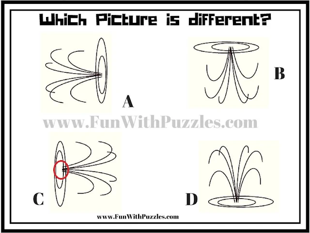 Spot the Different Picture Puzzle of Fountain Answer