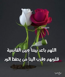 صور جميلة, صور جميلة للفيس بوك, صور فيسبوك, صور