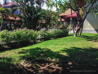 Lawn Grasses And Various Type Of Plant Trees Of The Garden Courtyard In Bali Indonesia