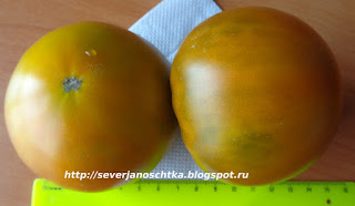 ������ ����������