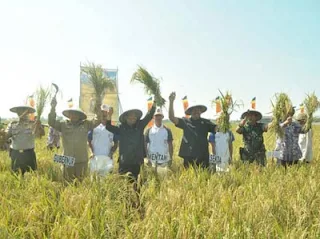 Menteri Pertanian Republik Indonesia Lakukan Panen Perdana di Desa Kiajaran Wetan