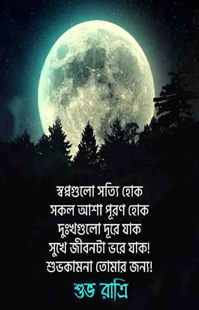 Good night in Bangla