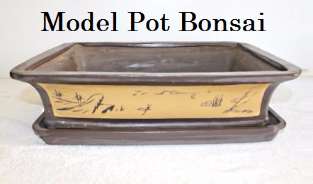 Bentuk Model  Pot  Bonsai  Unik Pilihan Terbaik
