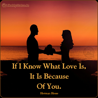 If I Know What Love Is, It Is Because Of You. - Herman Hesse
