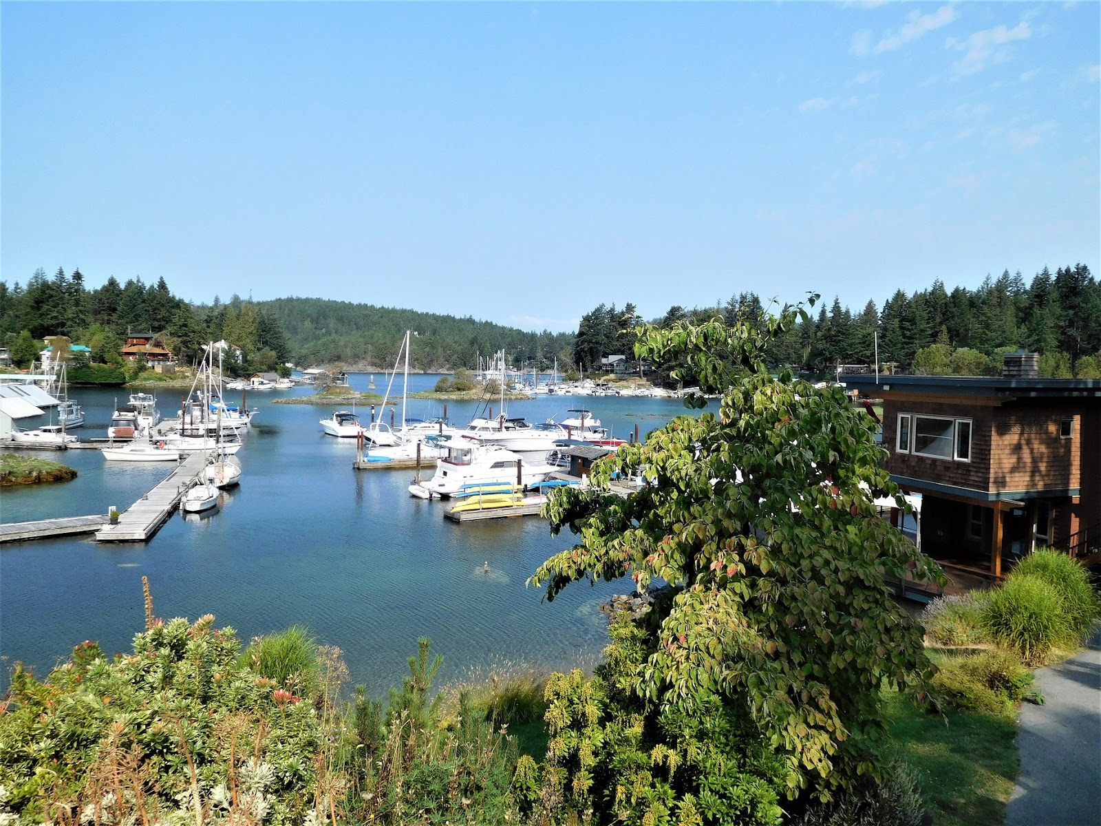 Rediscovering the West Side New Transient Moorage in Pender Harbour