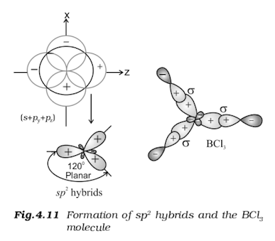 Sp2 hybridization