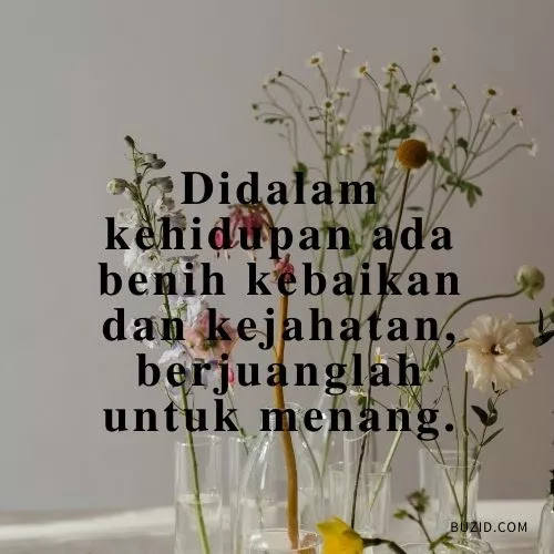 Kumpulan Kata Kata Berjuang Dalam Kehidupan Kata Berjuang Untuk Masa Depan