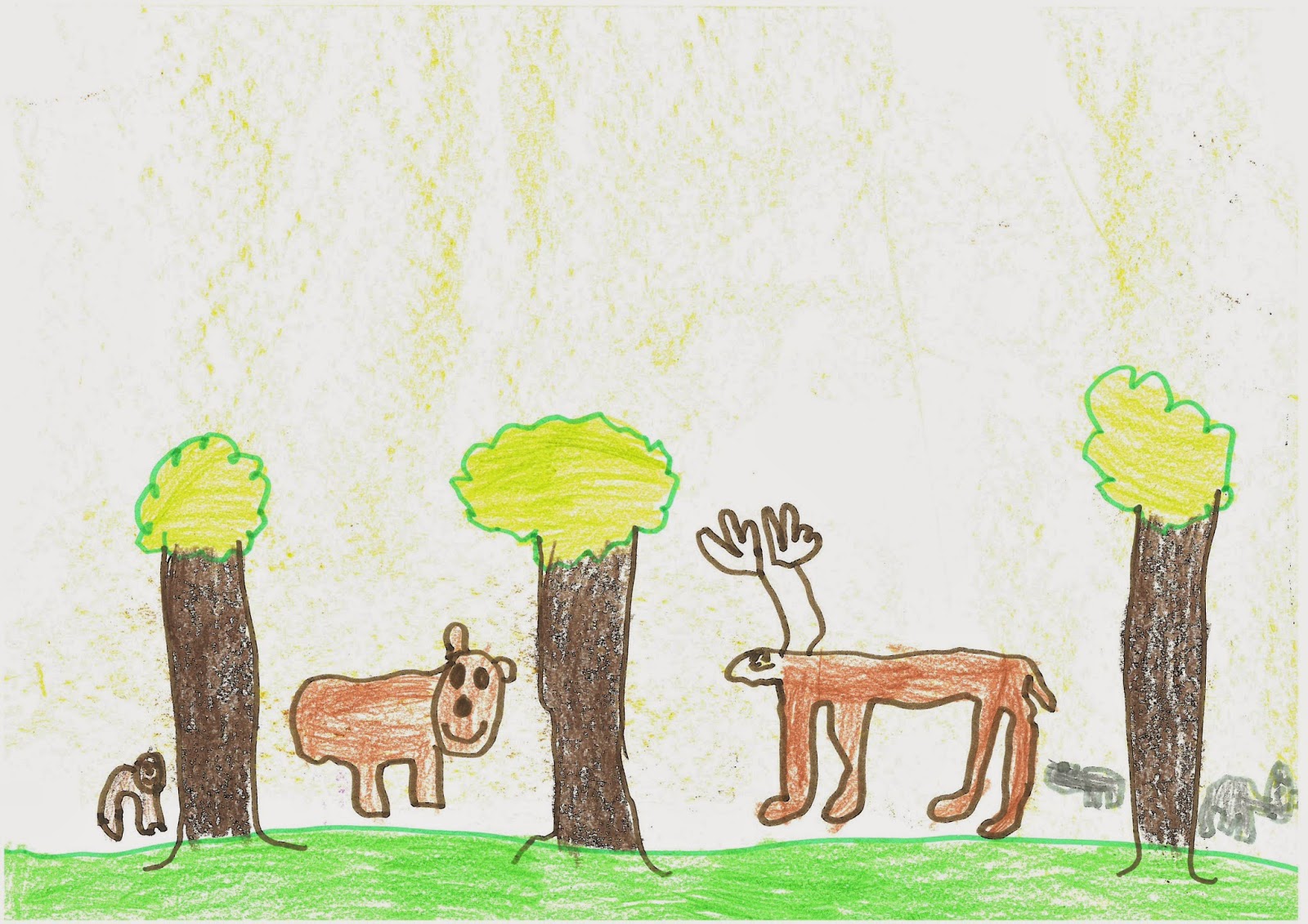La clase de Laura: Nuestros dibujos de los ecosistemas I