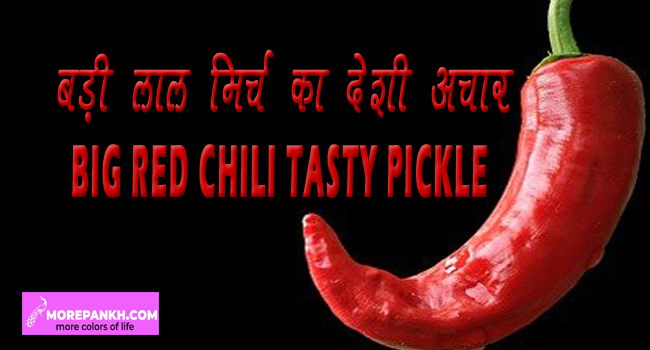 BADI LAL MIRCH KA DESHI BHARNVA ACHAR | BIG RED CHILI TASTY PICKLE