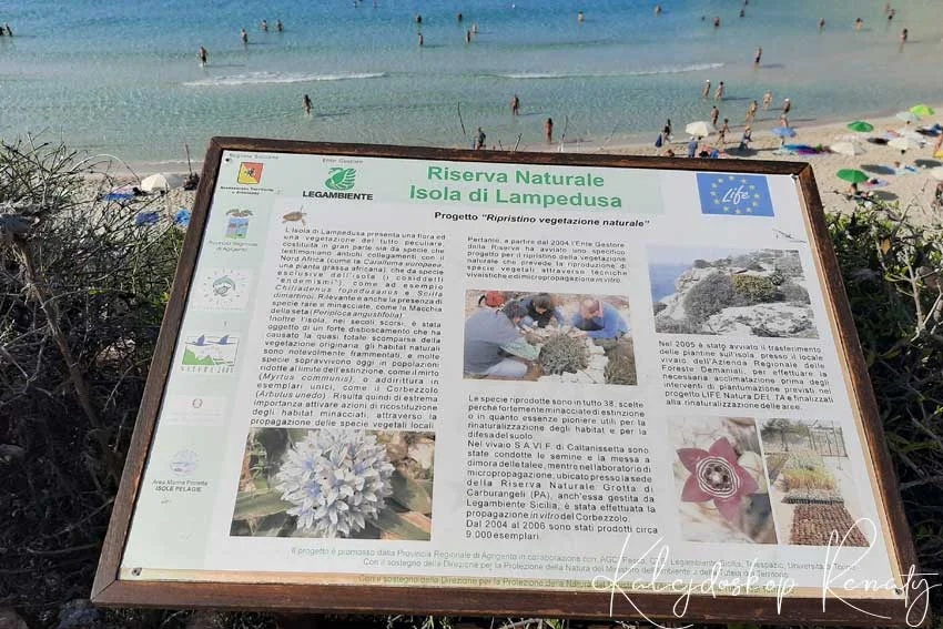 Spiaggia  dei Conigli , czyli Plaża Królików – najpiękniejsza plaża świata