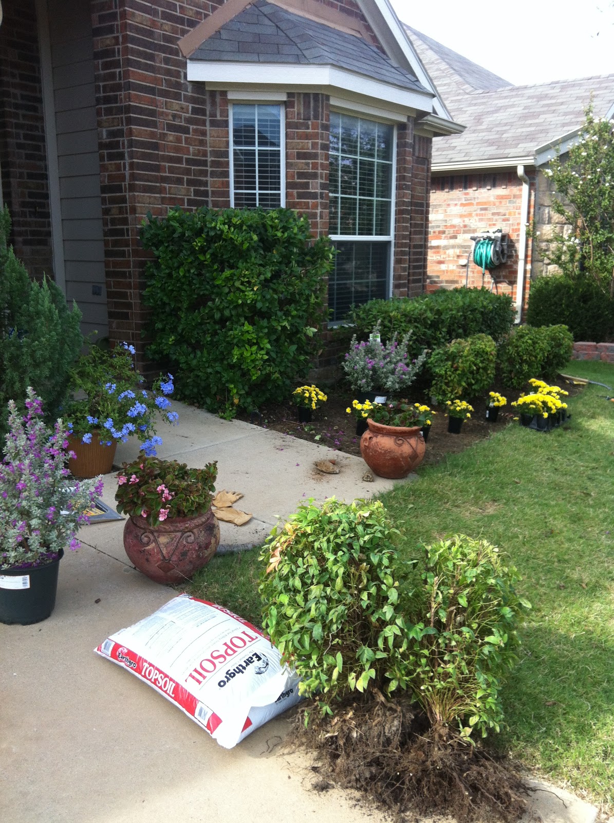 The Traylor Parks Blog: Front Yard Landscaping