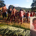 Ubatã: Homem de 40 anos morre afogado no Rio de Contas
