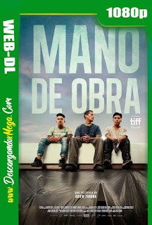 Mano De Obra (2020) HD 1080p Latino