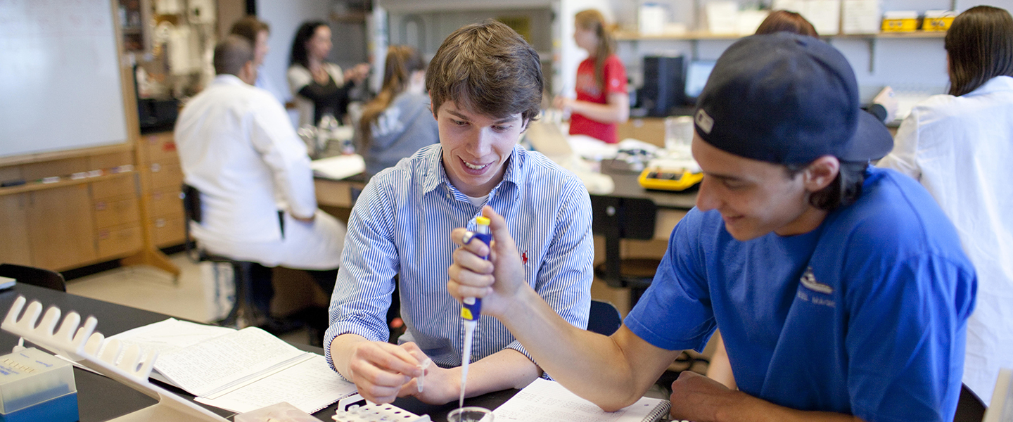 Cheap phd dissertation editing services image