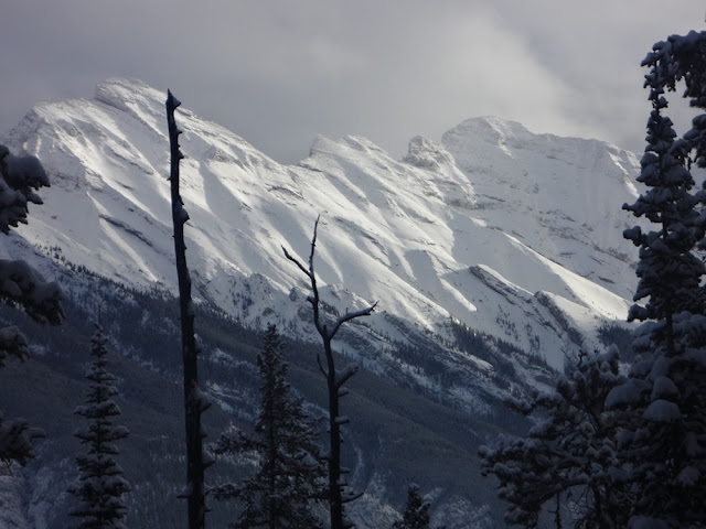 sulphur mountain trail