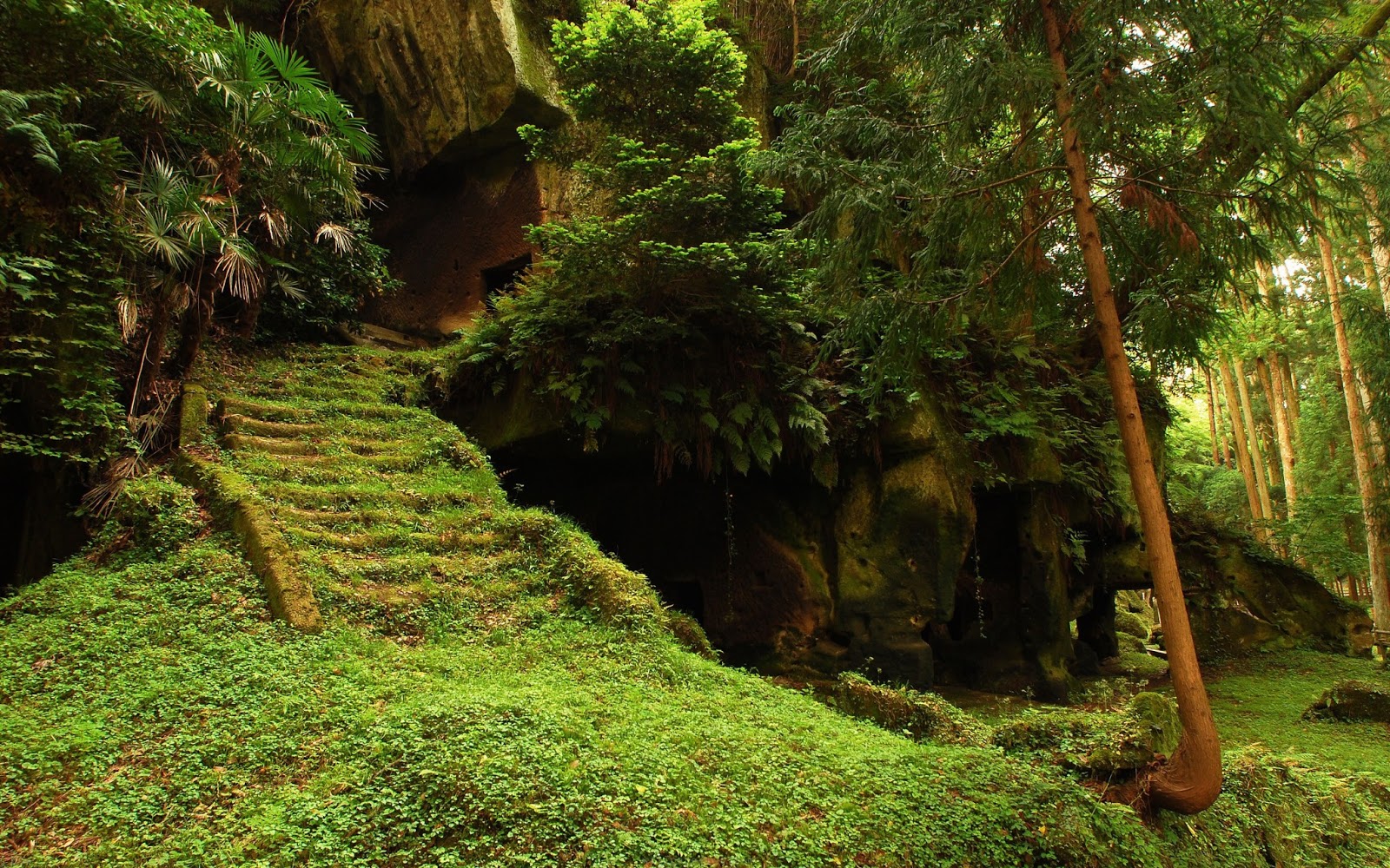 How Are Humans Connected To Nature How Are Humans Connected To Nature