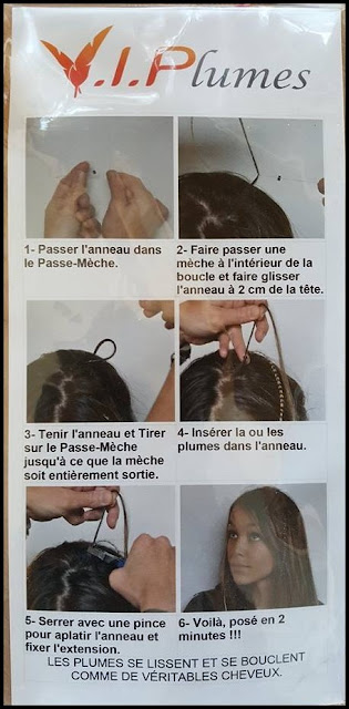 Dans Mon Royaume - Anaïs: Mèche de cheveux 